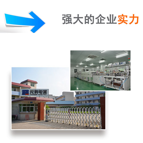 【元则资讯】不一样的广东汽车继电器！